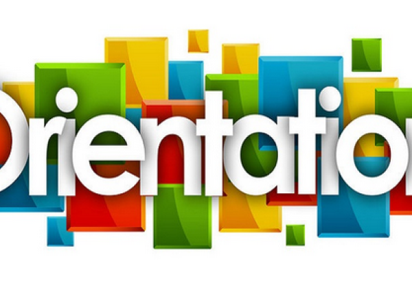 Students' orientation within the Department of Primary Education, following the processing of appeals