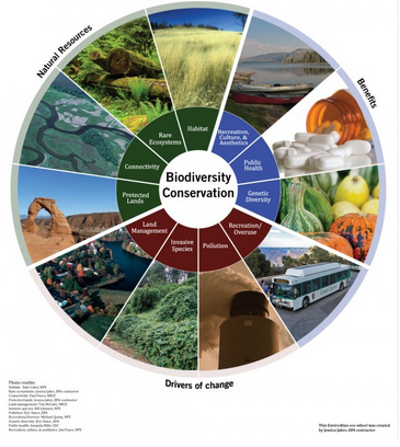 National Conference on Biodiversity and Global Change