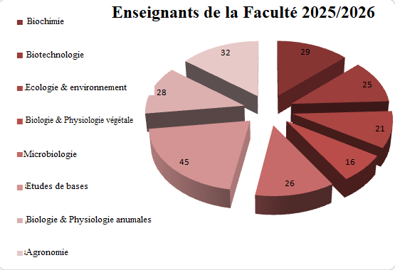 FR Stat Enseignants 25 2026