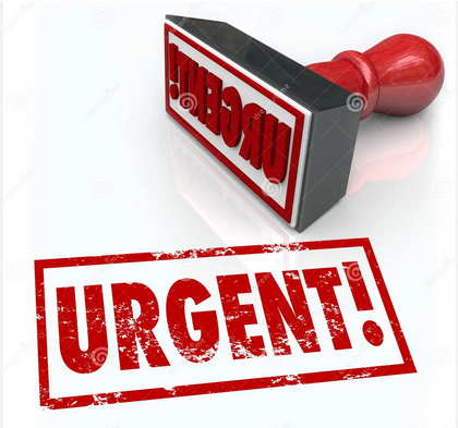 Programme du deuxième semestre