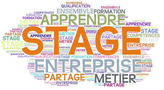 Évaluation des stagiaires