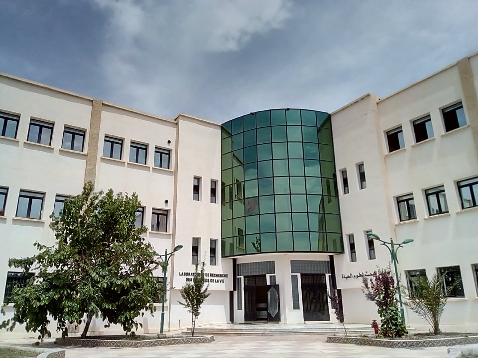 LaboRecherche scaled